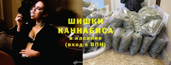 шишки Белокуриха